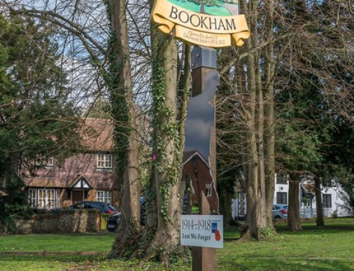 Bookham Village Day